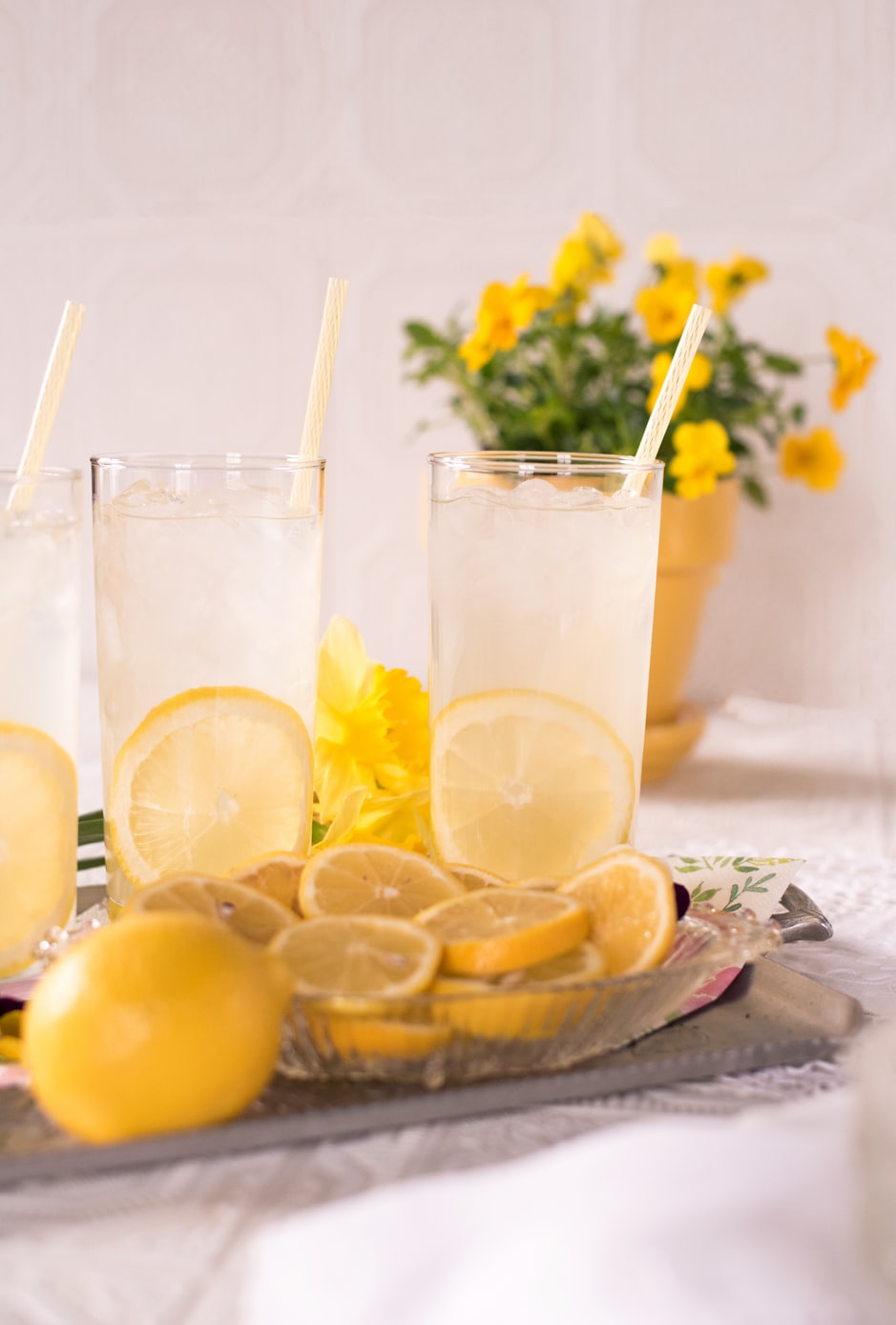 Vodka Mint Lemonade Memorial Day Drink Recipes